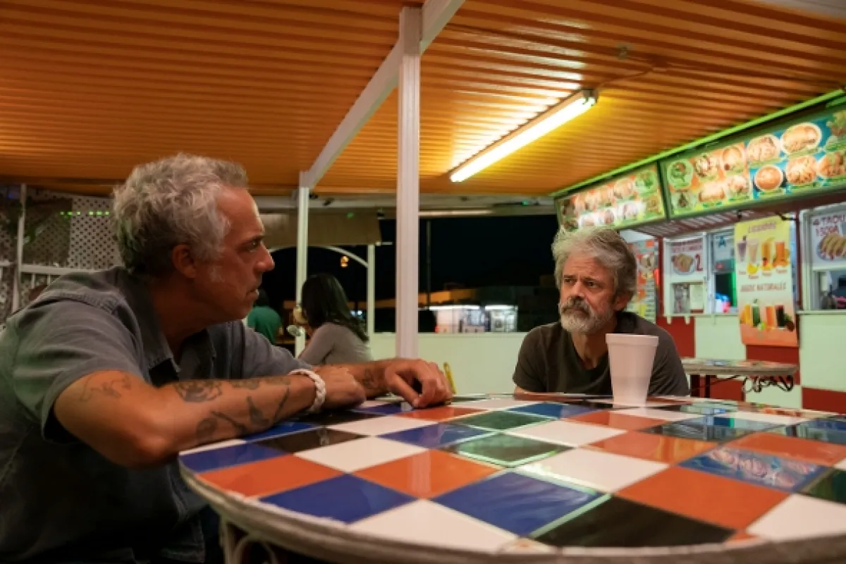Bosch (BOSCH), 2019 - fotogaléria