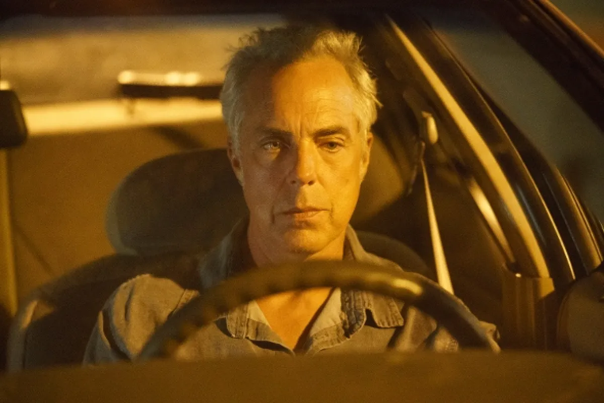 Bosch (BOSCH), 2019 - fotogaléria