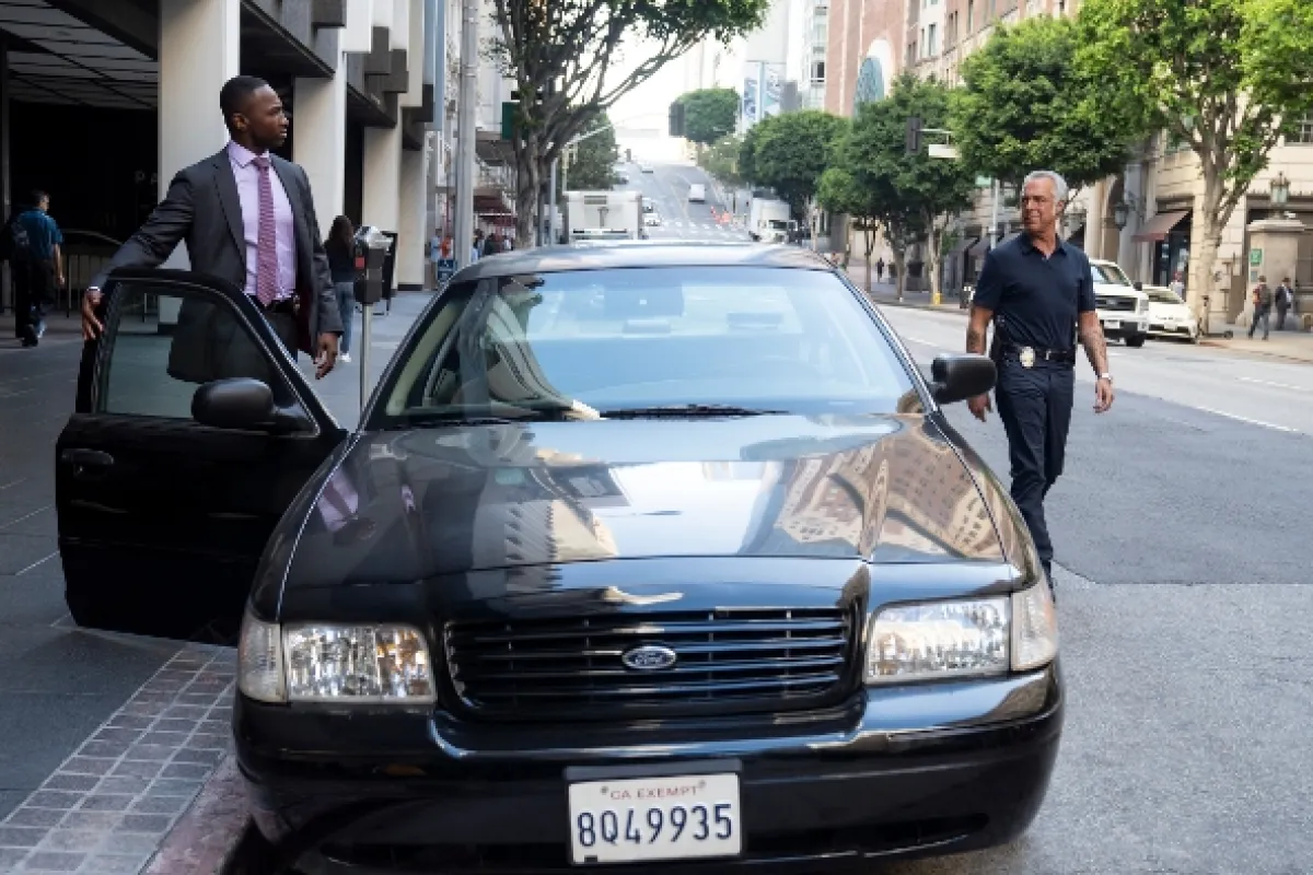 Bosch (BOSCH), 2019 - fotogaléria