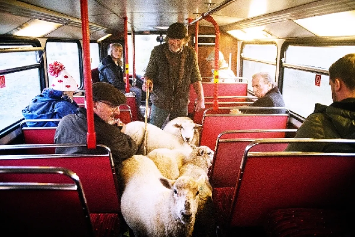 Poslední autobus (The Last Bus), 2020 - fotogaléria