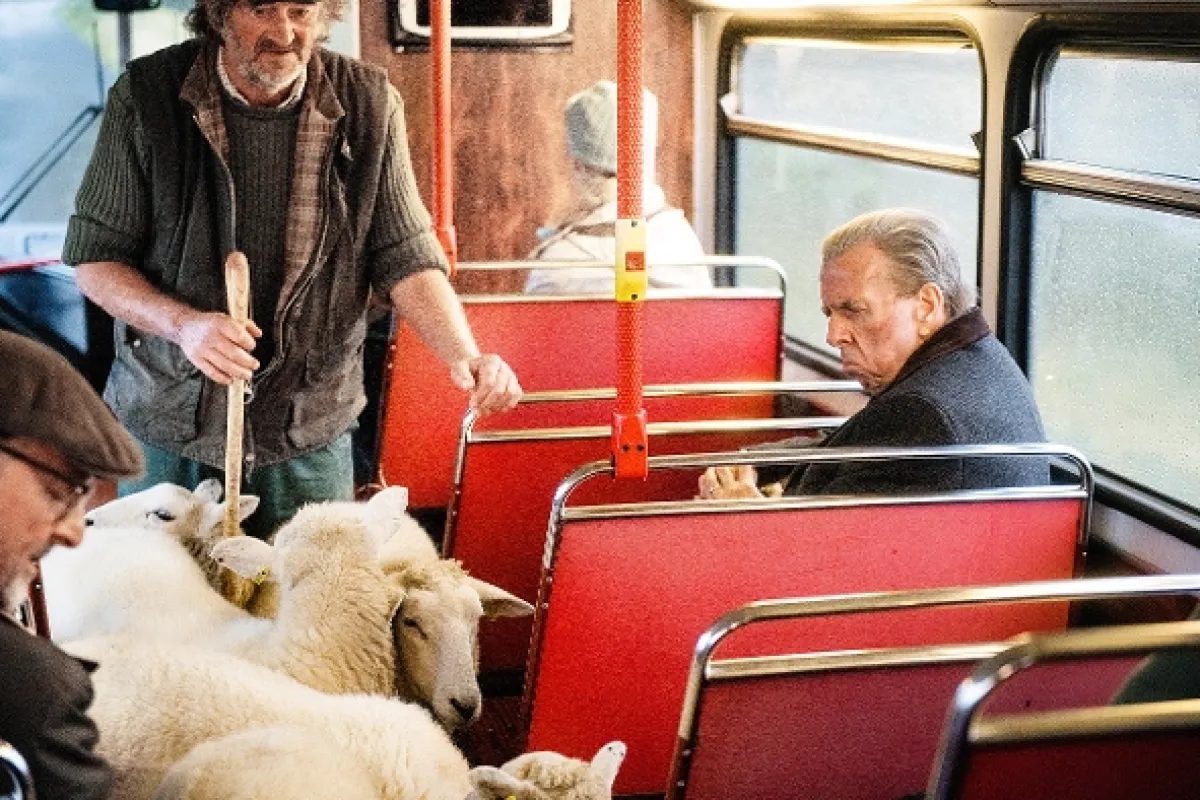Poslední autobus (The Last Bus), 2020 - fotogaléria