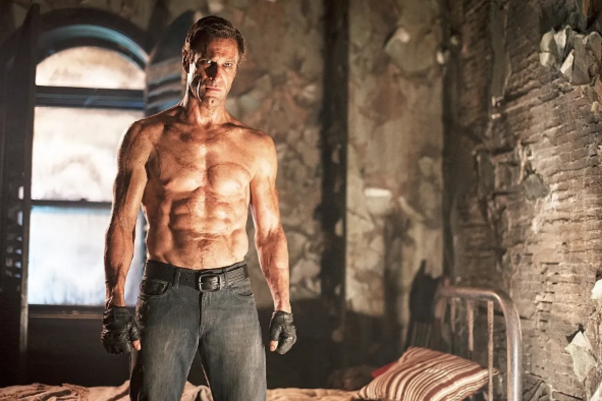 Ja, Frankenstein (I, Frankenstein), 2014 - fotogaléria