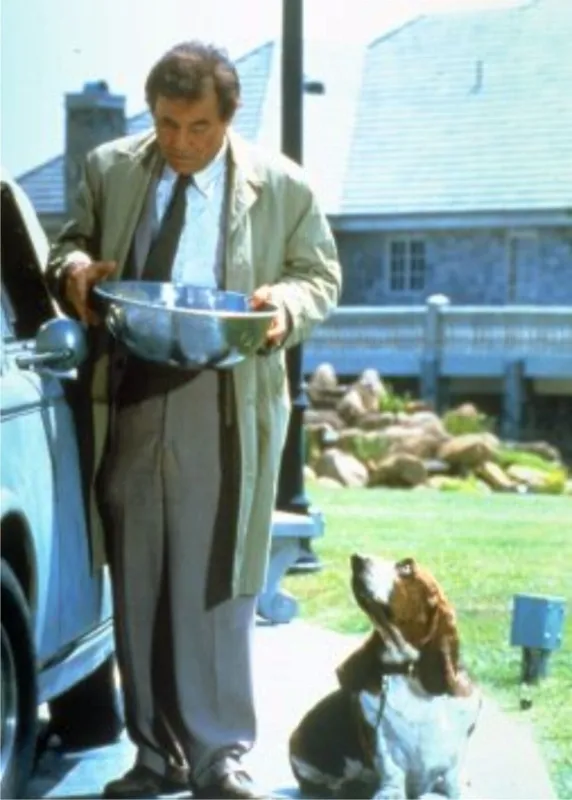Columbo (Columbo 6 (New); Season 10; Columbo: Strange Bedfellows), 1995 - fotogaléria