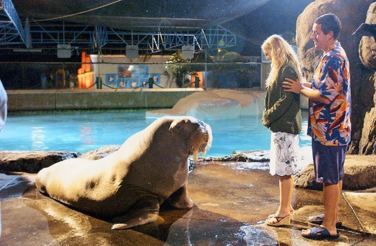 50x a stále poprvé (50 First Dates), 2004 - fotogaléria