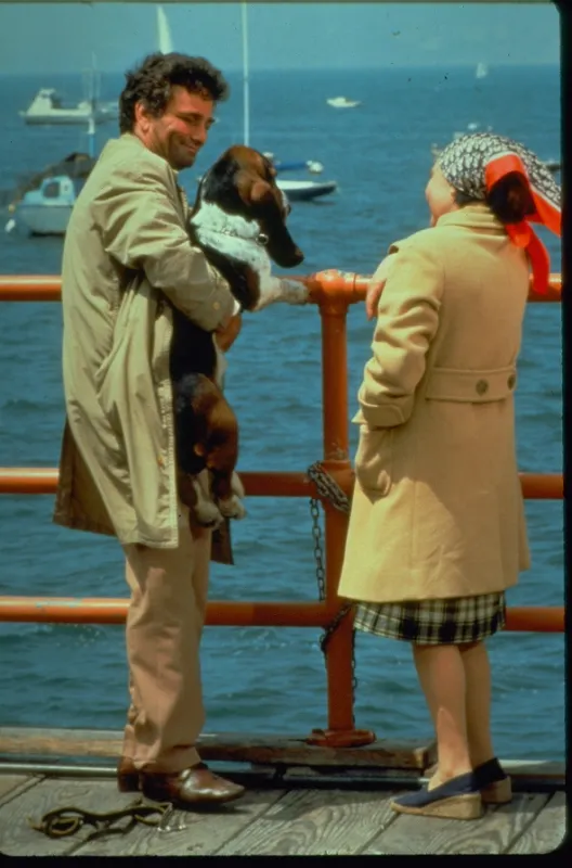 Columbo (Columbo 2; Columbo: A Stitch in Crime), 1973 - fotogaléria