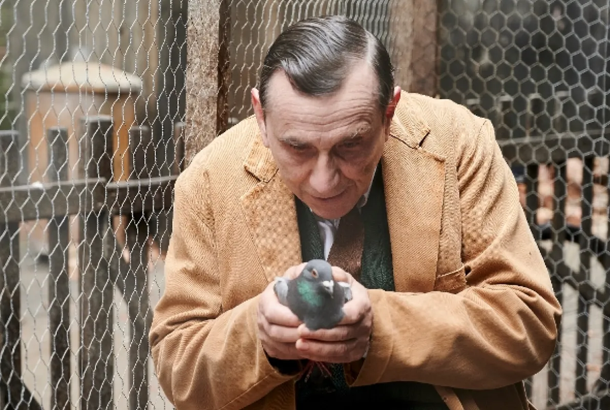 Zavolajte sestričky (Call the Midwife IX), 2020 - fotogaléria