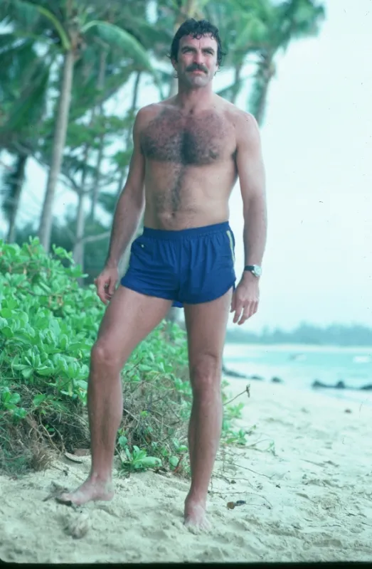 Magnum (Magnum P.I. I - Day of the Viper), 2019 - fotogaléria