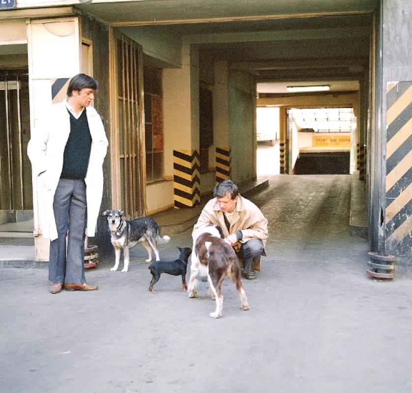 Sanitka, 1984 - fotogaléria