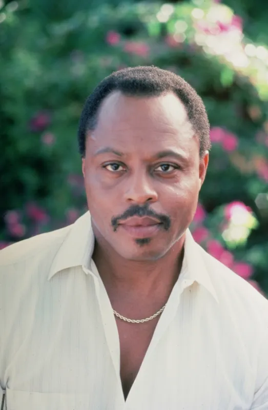 Magnum (Magnum P.I. I), 2018 - fotogaléria