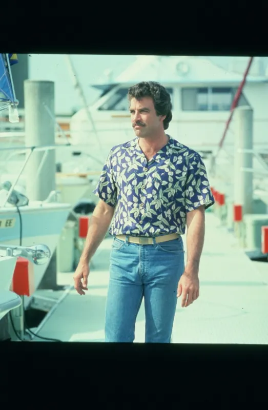 Magnum (Magnum P.I. I - Six Paintings, One Frame), 2018 - fotogaléria