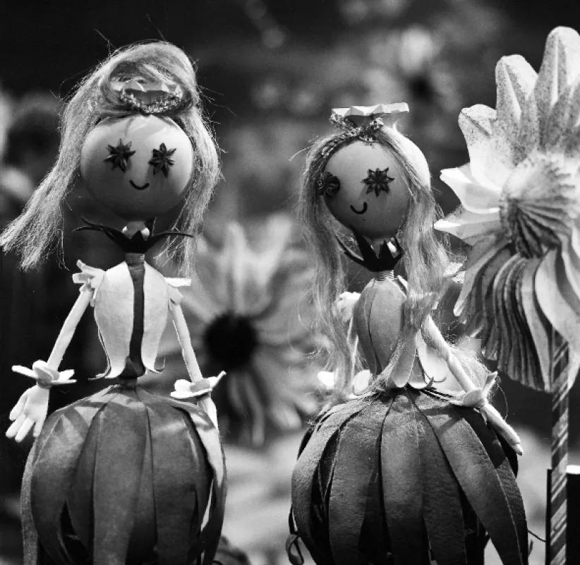 Trávnička, 1973 - fotogaléria
