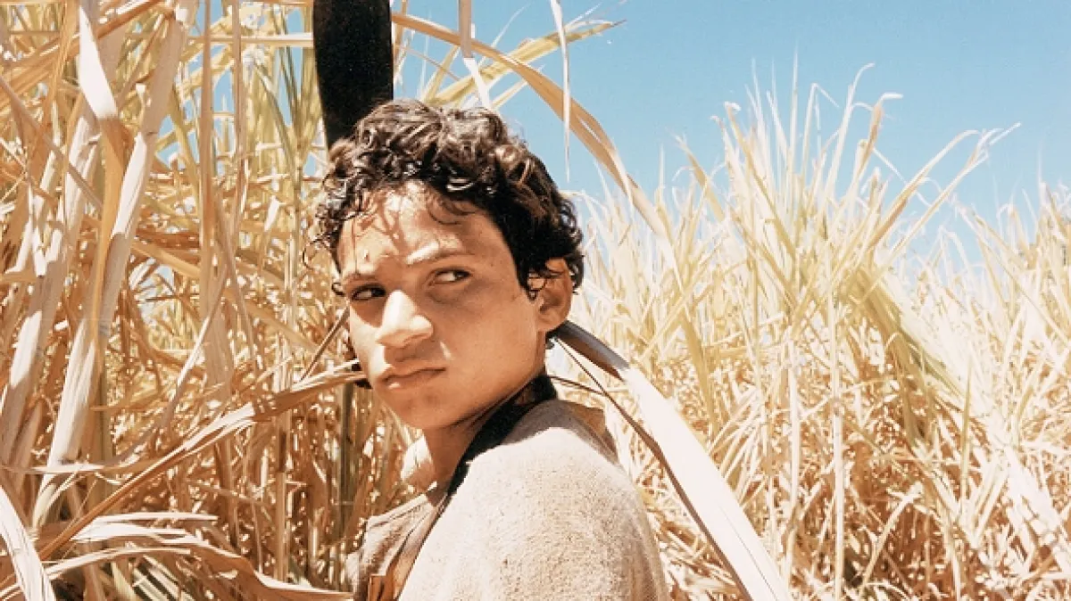 V žáru slunce (Abril Despedaçado), 2001 - fotogaléria
