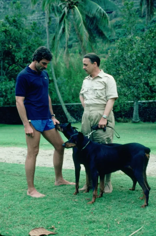 Magnum (Magnum P.I. I - Sudden Death), 2018 - fotogaléria