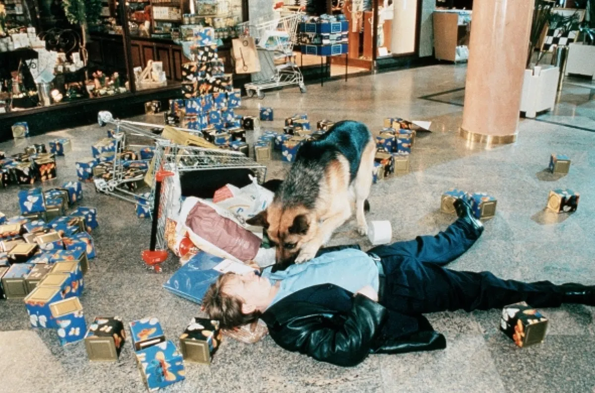 Rex felügyelő (Kommissar Rex IV), 1997 - fotogaléria