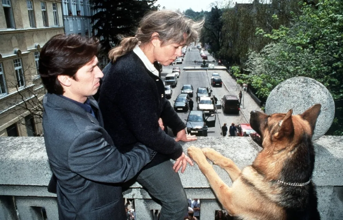 Rex felügyelő (Kommissar Rex), 1994 - fotogaléria