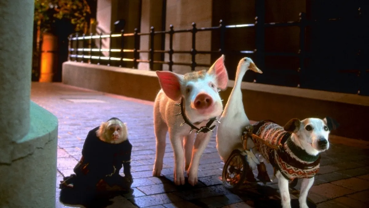Babe: Prasátko ve městě (Babe: Pig in the City), 1995 - fotogaléria