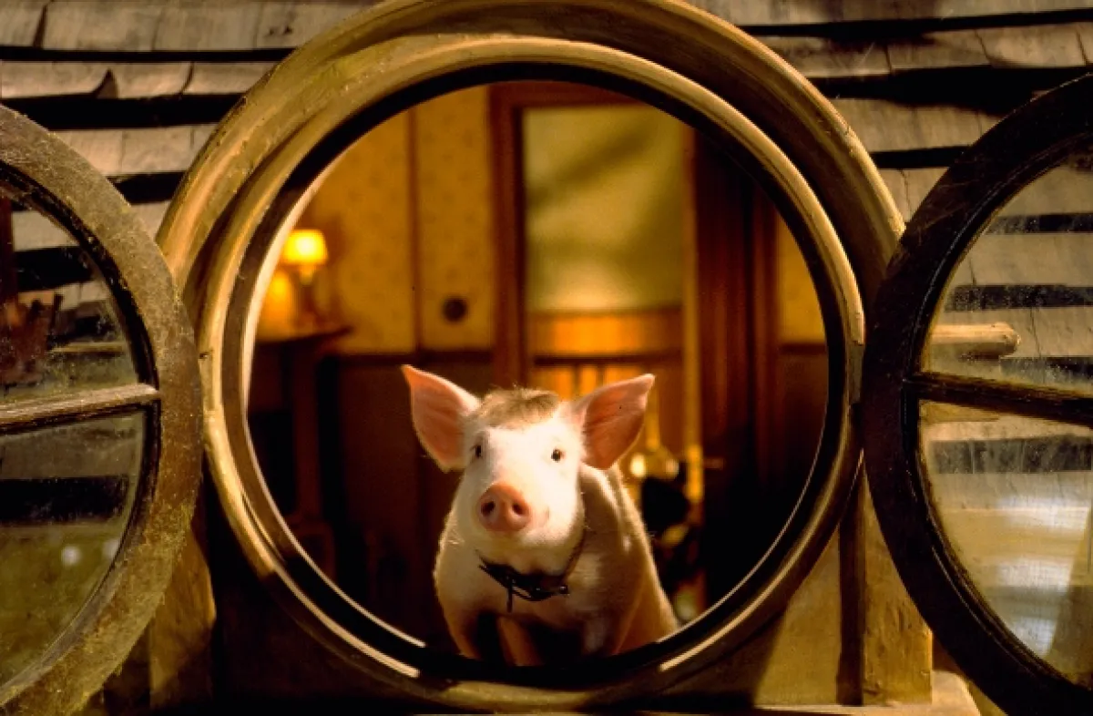 Babe: Prasátko ve městě (Babe: Pig in the City), 1995 - fotogaléria