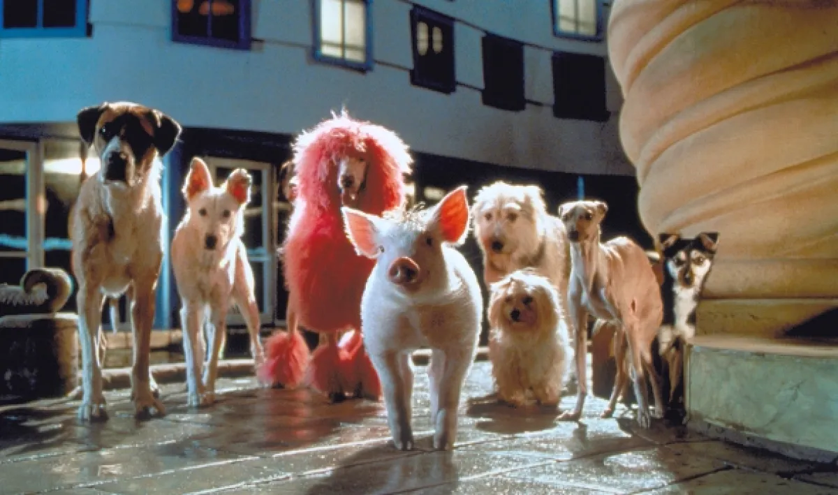 Babe: Prasátko ve městě (Babe: Pig in the City), 1995 - fotogaléria