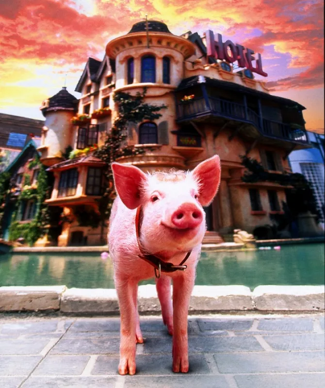 Babe: Prasátko ve městě (Babe: Pig in the City), 1995 - fotogaléria