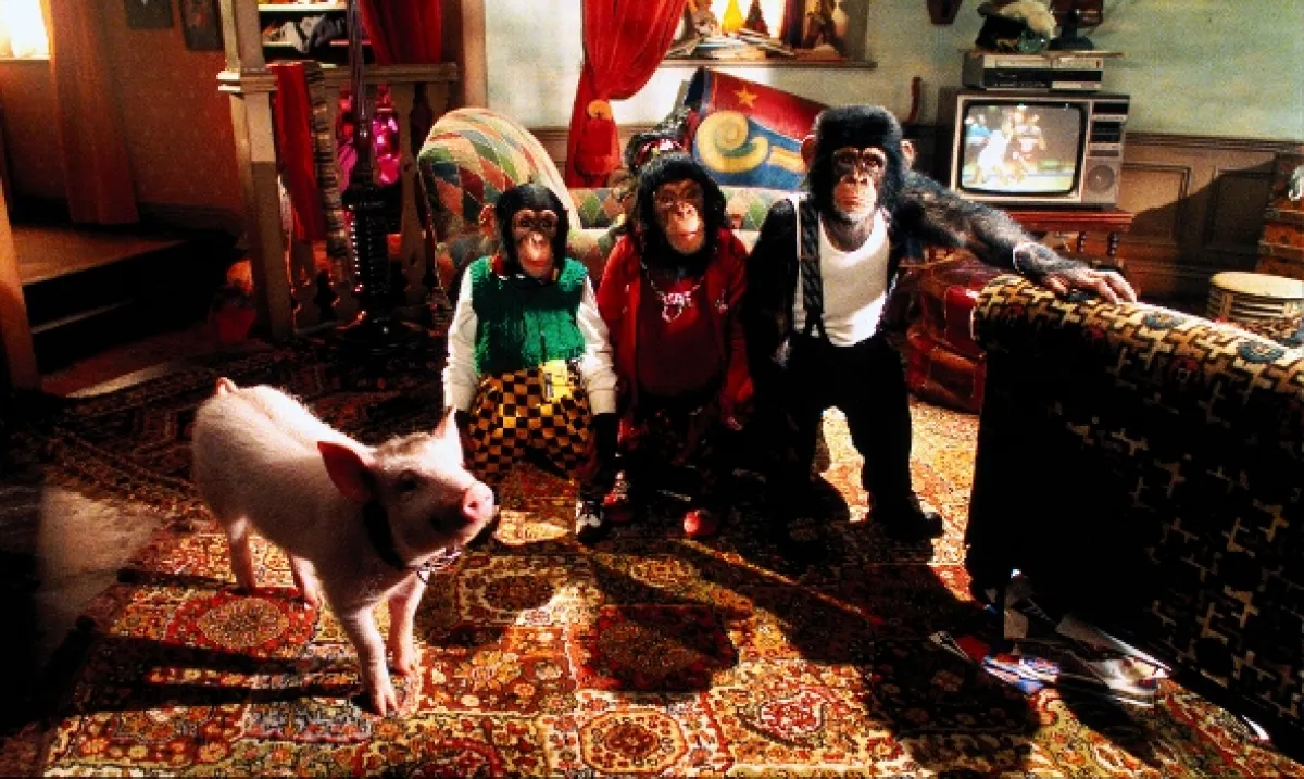 Babe: Prasátko ve městě (Babe: Pig in the City), 1995 - fotogaléria