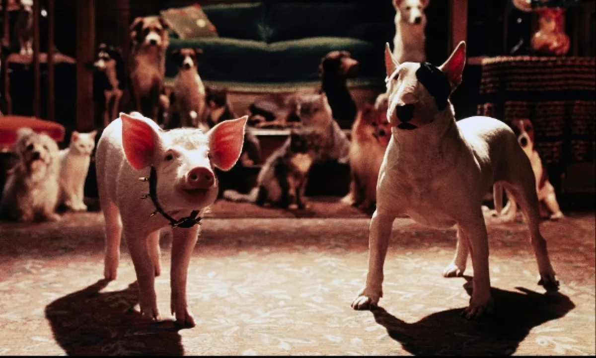 Babe: Prasátko ve městě (Babe: Pig in the City), 1995 - fotogaléria