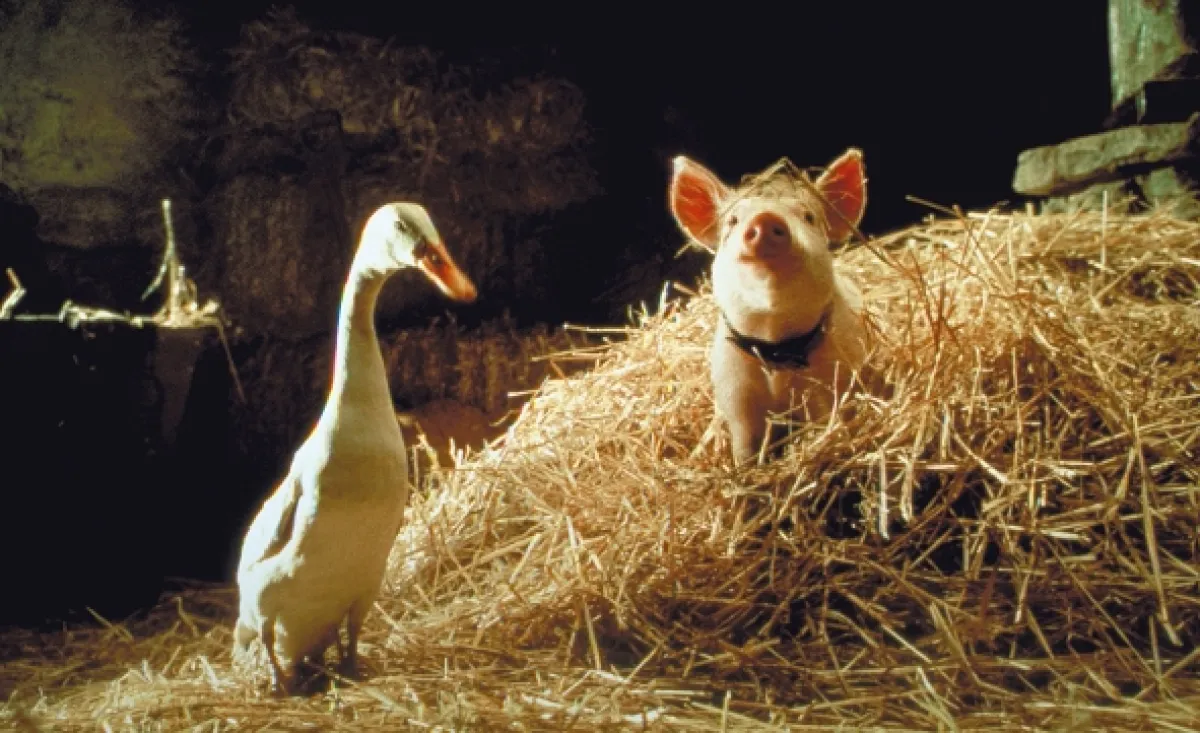 Babe: Prasátko ve městě (Babe: Pig in the City), 1995 - fotogaléria