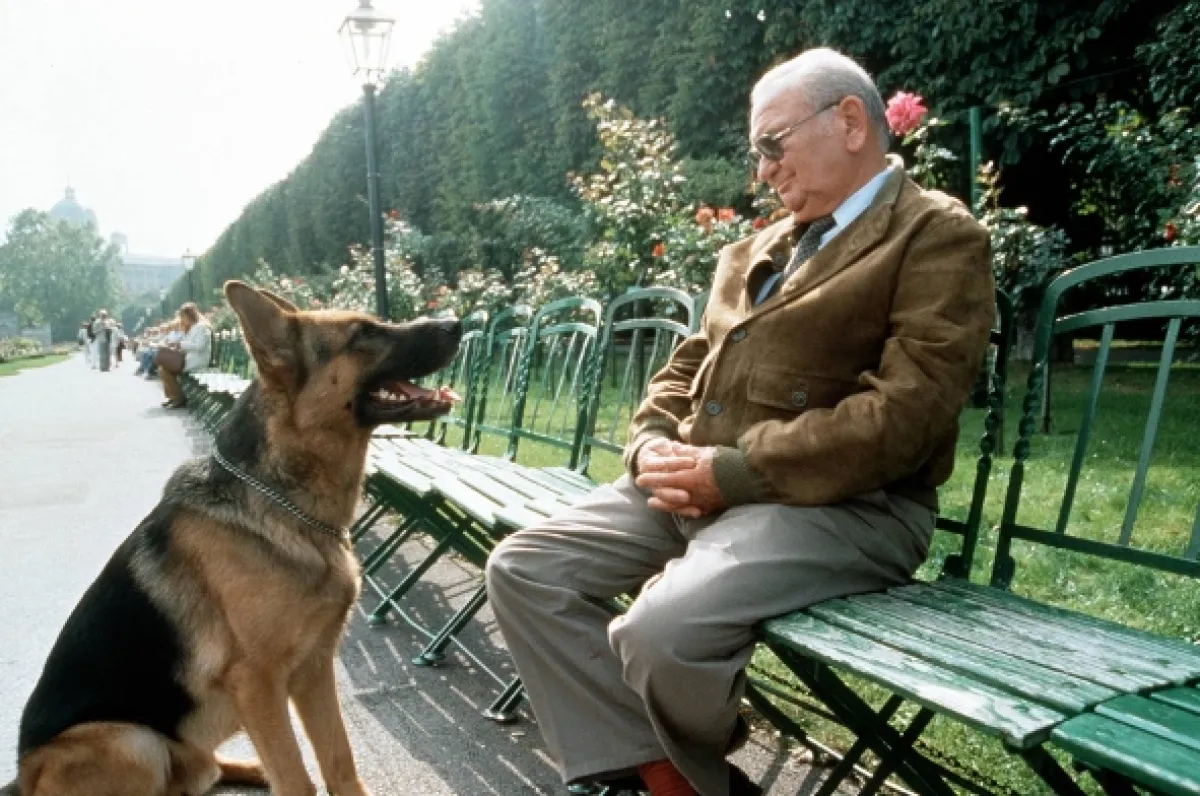 Rex felügyelő (Kommissar Rex II), 1995 - fotogaléria