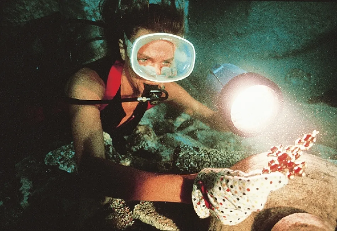 Hlubina (The Deep), 1977 - fotogaléria