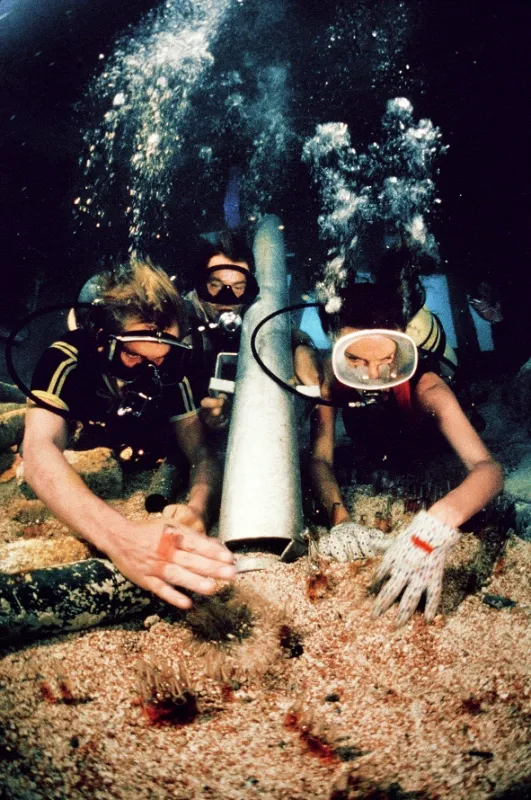 Hlubina (The Deep), 1977 - fotogaléria