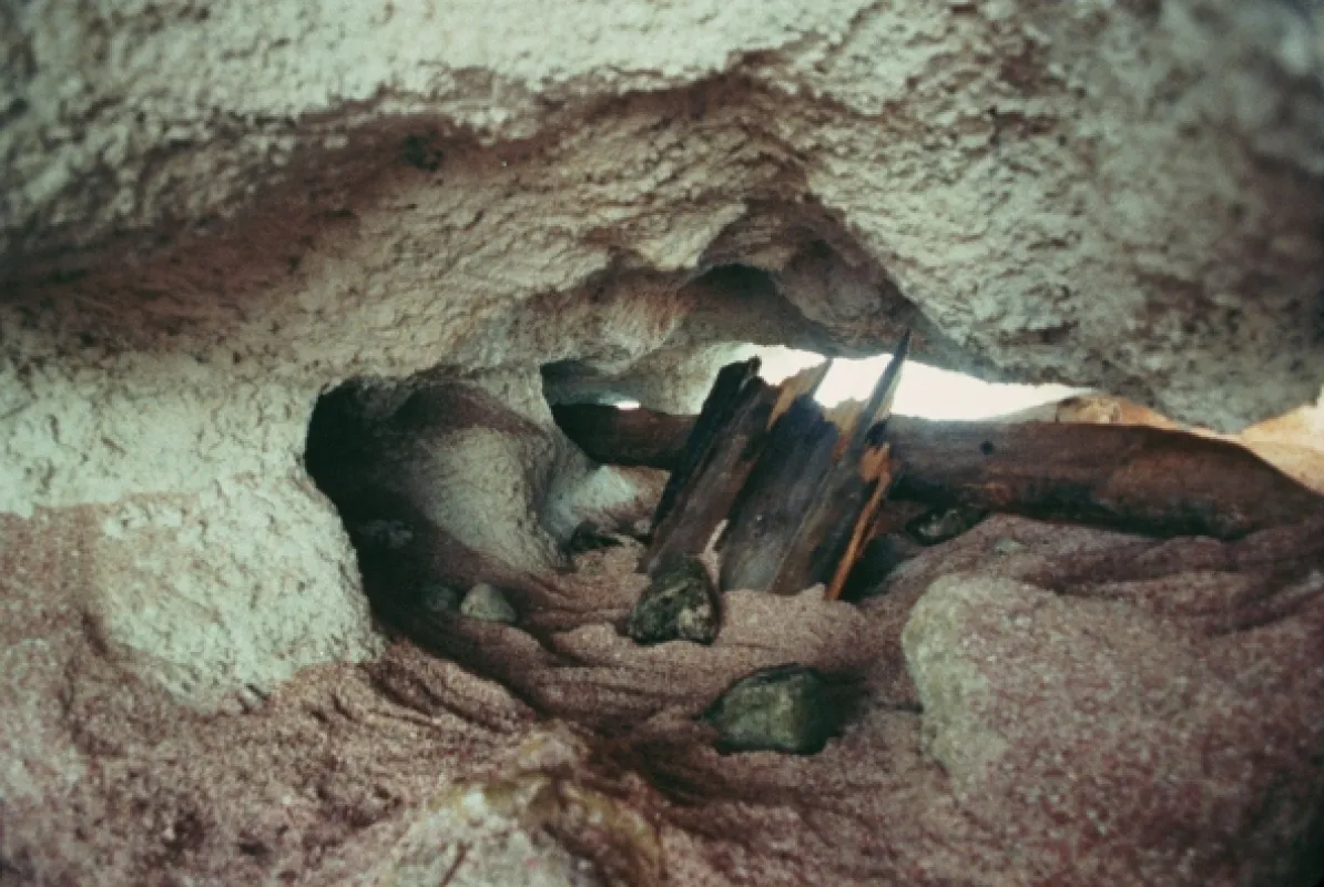 Hlubina (The Deep), 1977 - fotogaléria