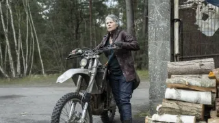 Walking Dead: Daryl Dixon, The II (6)