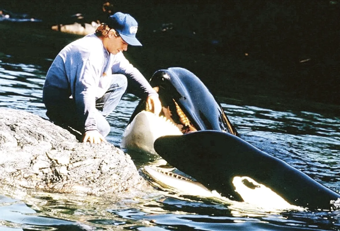 Zachraňte Willyho 2 (Free Willy 2: The Adventure Home), 1995 - fotogaléria
