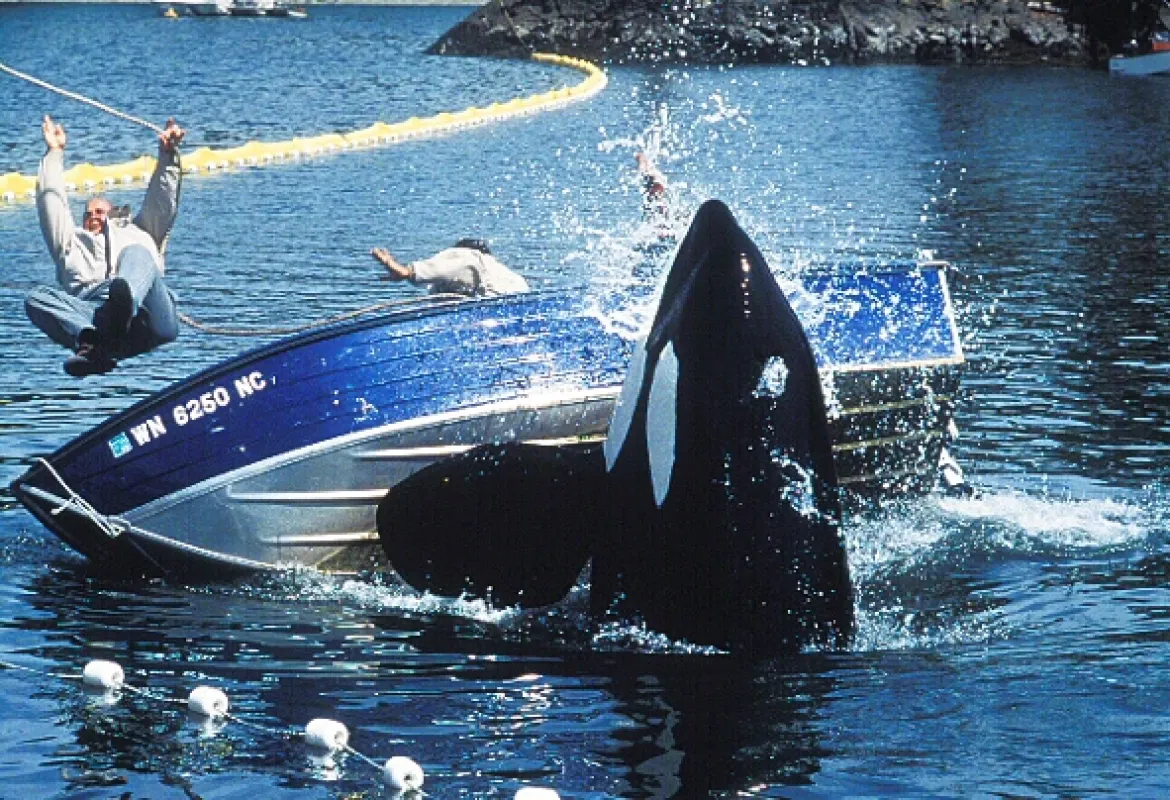 Zachraňte Willyho 2 (Free Willy 2: The Adventure Home), 1995 - fotogaléria