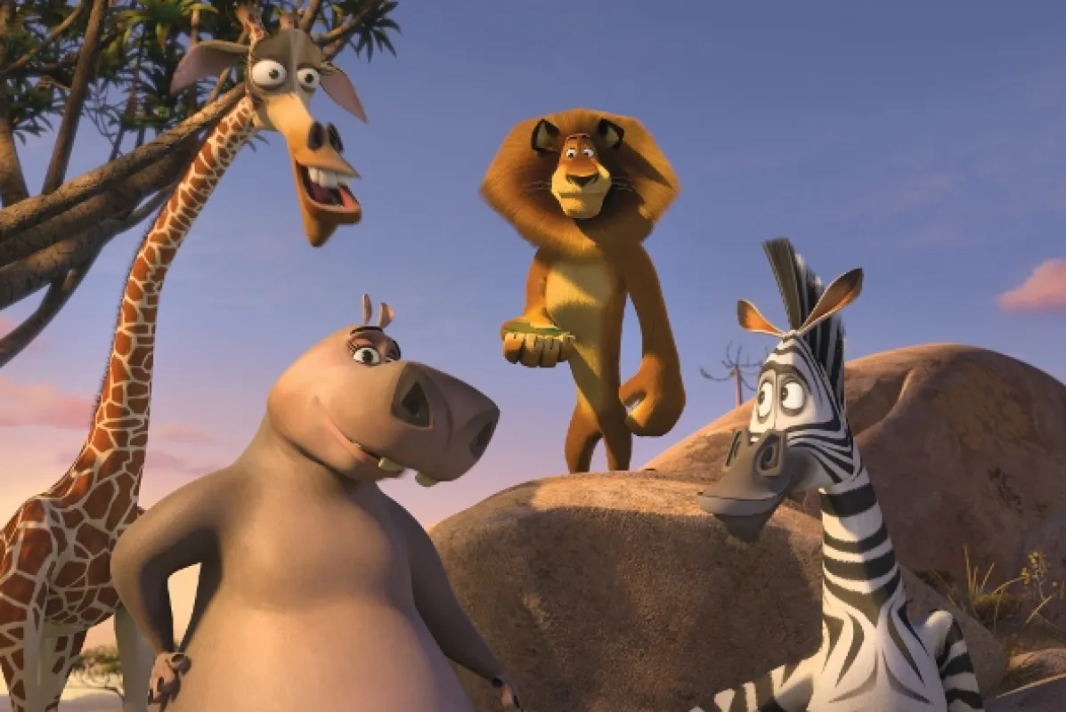 Valentýnský Madagaskar - fotogaléria