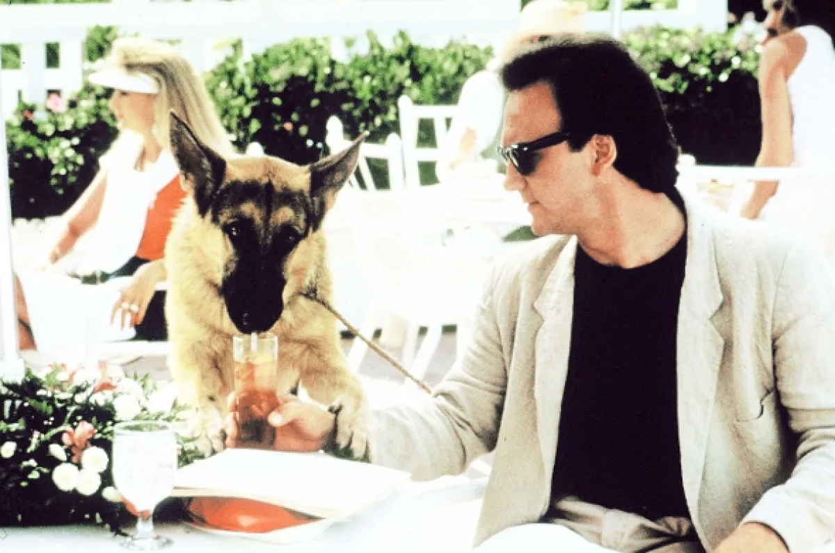 Môj partner z K-9 (K-9), 1989 - fotogaléria