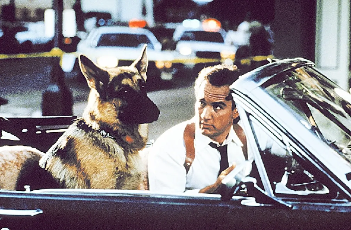Môj partner z K-9 (K-9), 1989 - fotogaléria