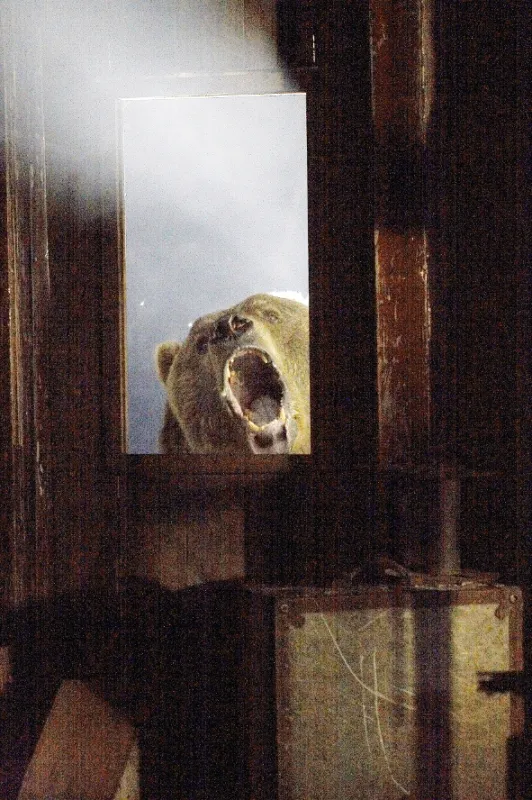 Grizzly zabijak (Grizzly Rage), 2006 - fotogaléria
