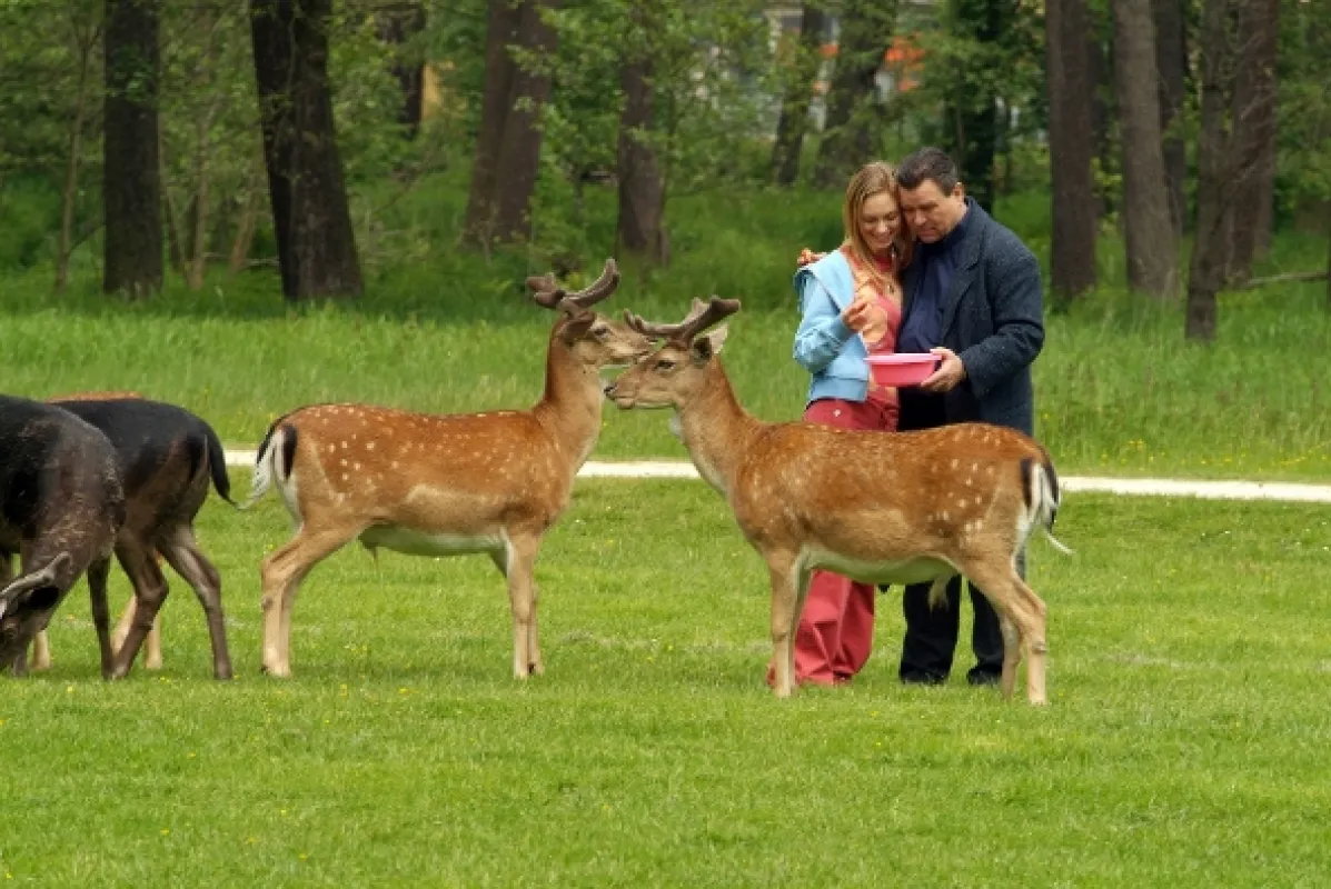 Příkopy, 2007 - fotogaléria
