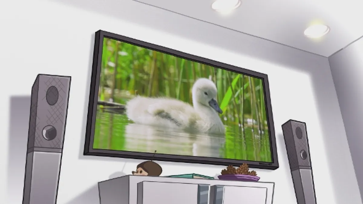 Zvířecí televize - fotogaléria