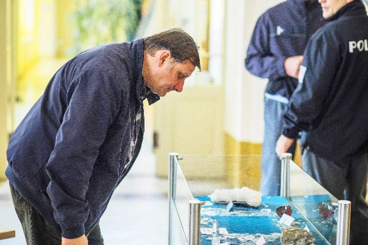 Poldové a nemluvně, 2020 - fotogaléria