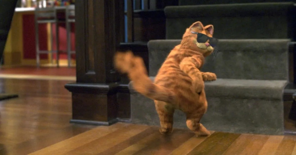 Garfield, 2004 - fotogaléria