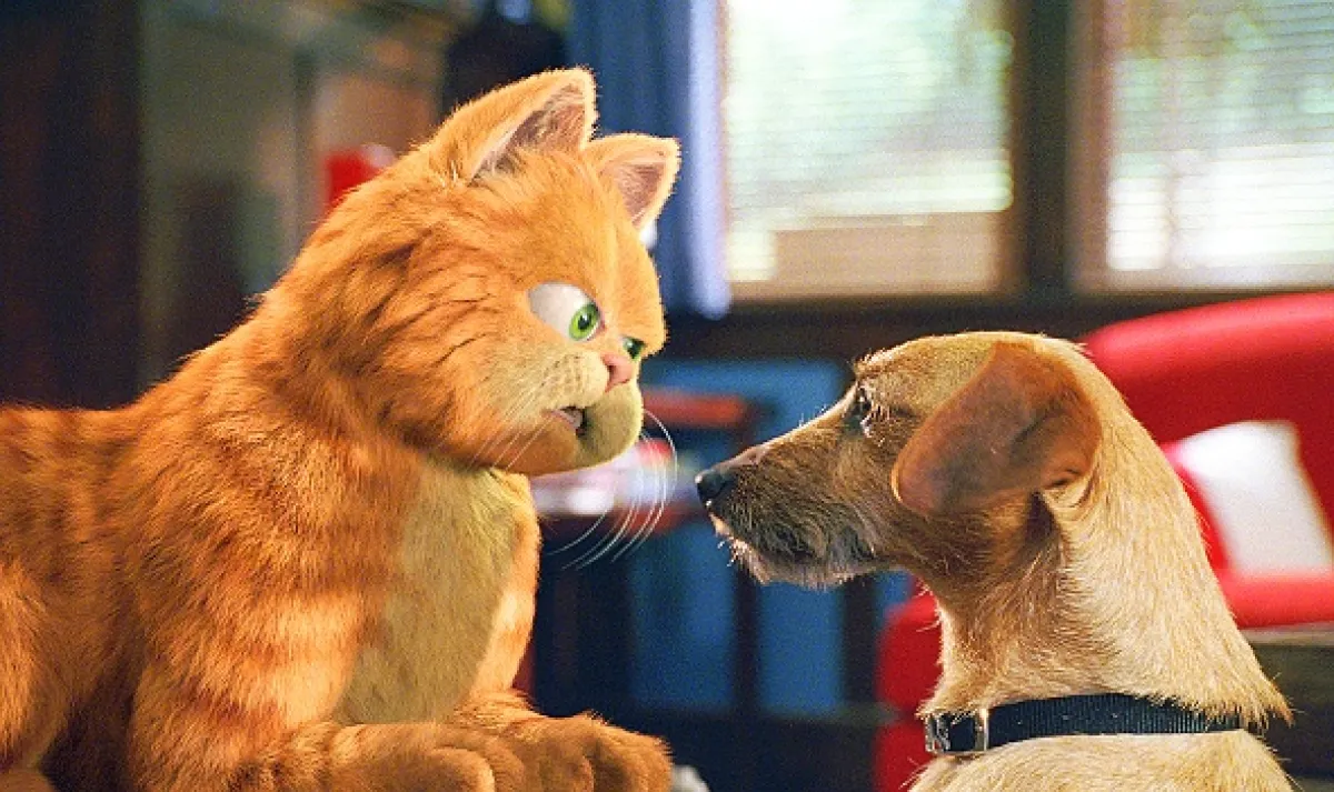 Garfield, 2004 - fotogaléria