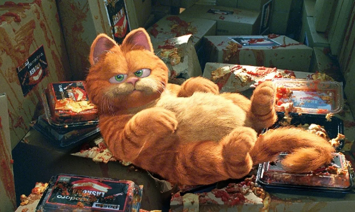 Garfield, 2004 - fotogaléria