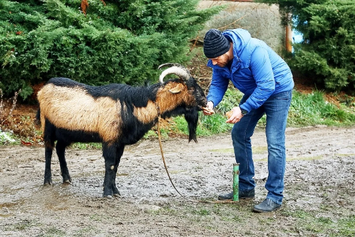 Přístav, 2015 - fotogaléria