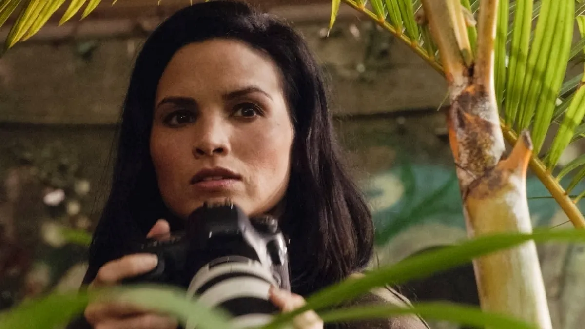 Hawaii 5.0 (Hawaii Five-0 X - Passing time obscures the past/Tiny is the flower, yet it scents the grasses around it), 2019 - fotogaléria