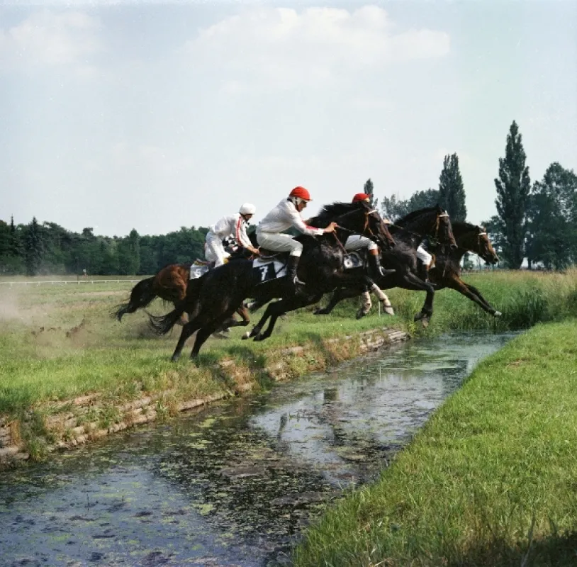 Dobrá Voda (Dobrá Voda - Radost), 1982 - fotogaléria