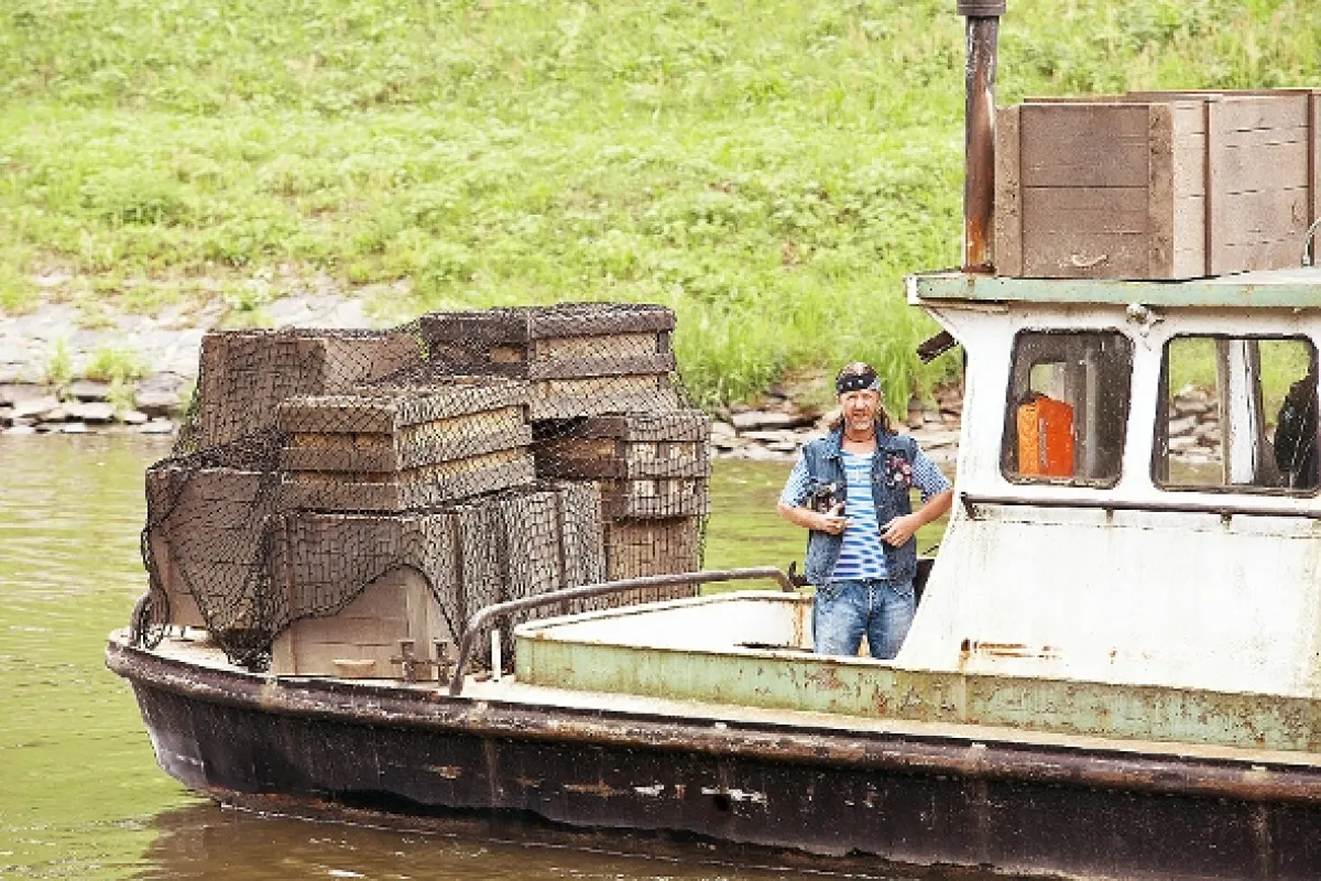 Vinaři, 2015 - fotogaléria