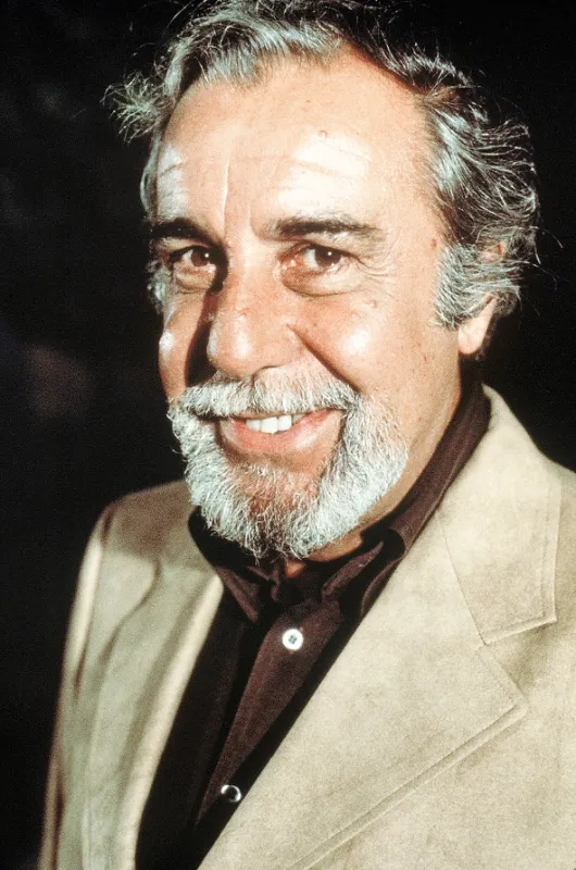 Francúzska spojka (The French Connection), 1971 - fotogaléria