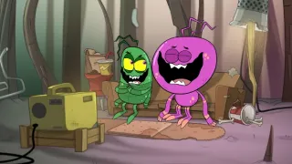 Zvířecí televize
