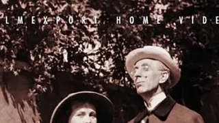 Červená ještěrka